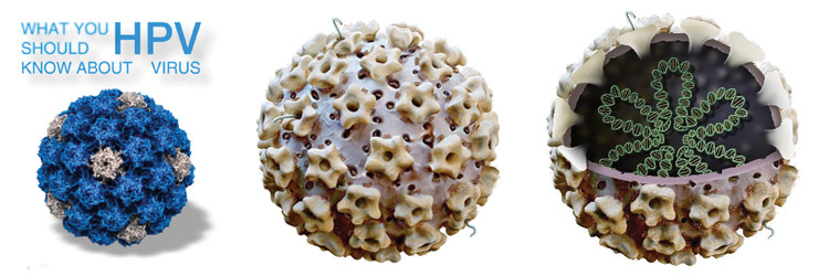 hpv
