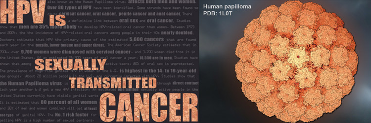 hpv2
